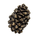 2114 - Pinecone - 1" Cabinet Knob